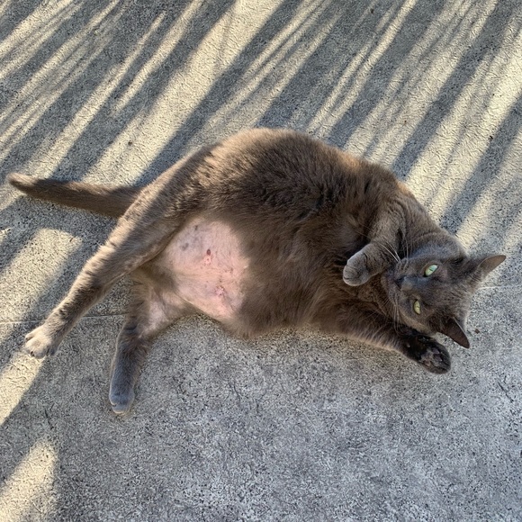 Meet your Posher, Valerie - Picture 1 of 1